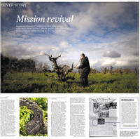 yip_z.editing_portfolio.02